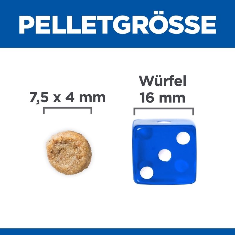 Gros plan sur les granulés alimentaires pour chiens et un dé bleu. Taille des granulés: 7,5 x 4 mm. Dé: 16 mm.
