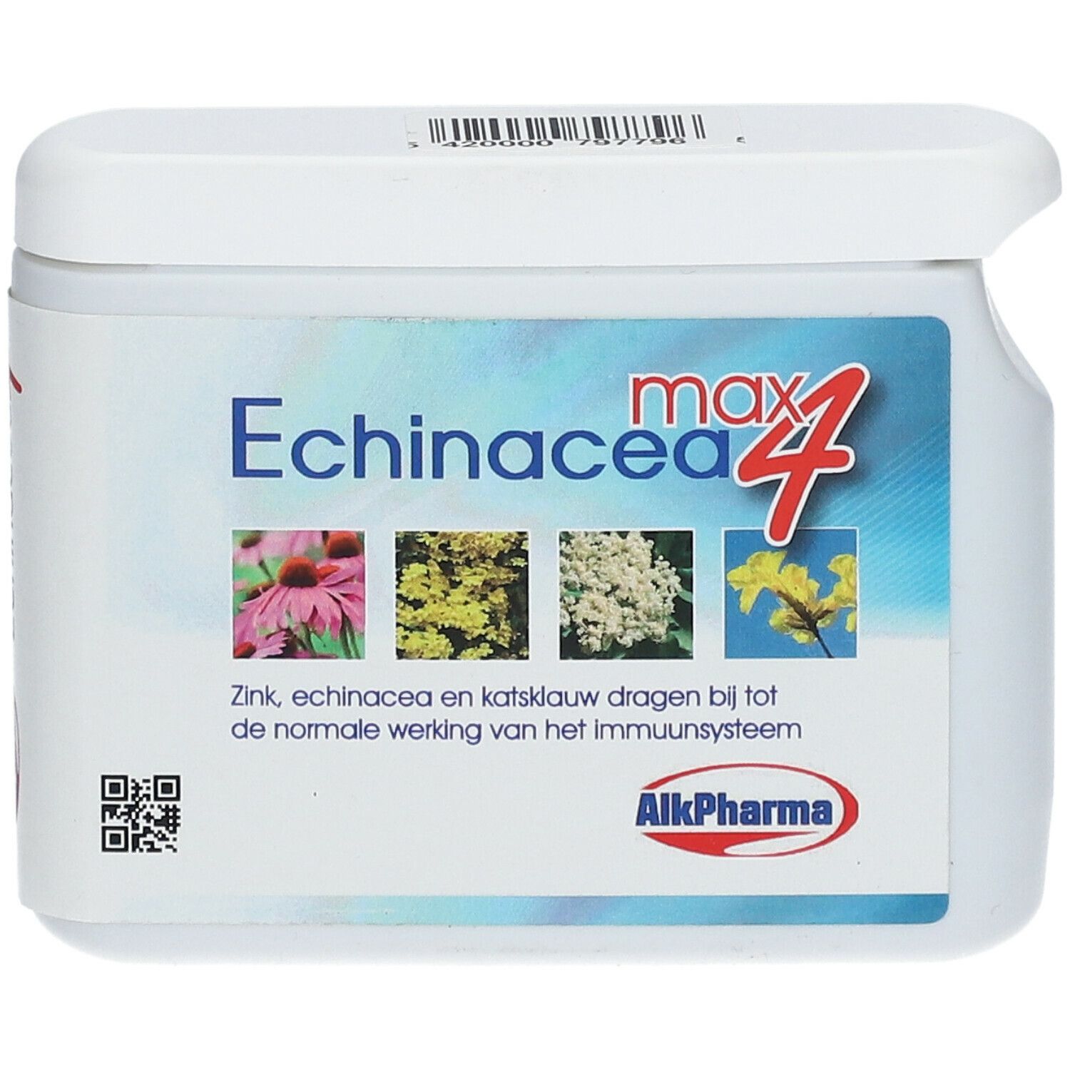 Echinacea Max 4