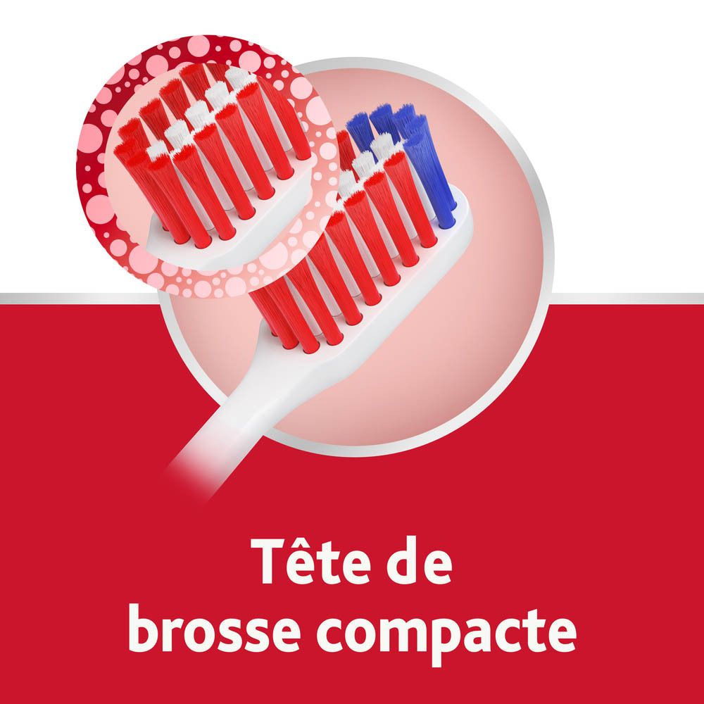 Gros plan des poils d'une brosse à dents. Soies rouges et bleues. Texte : Tête de brosse compacte.