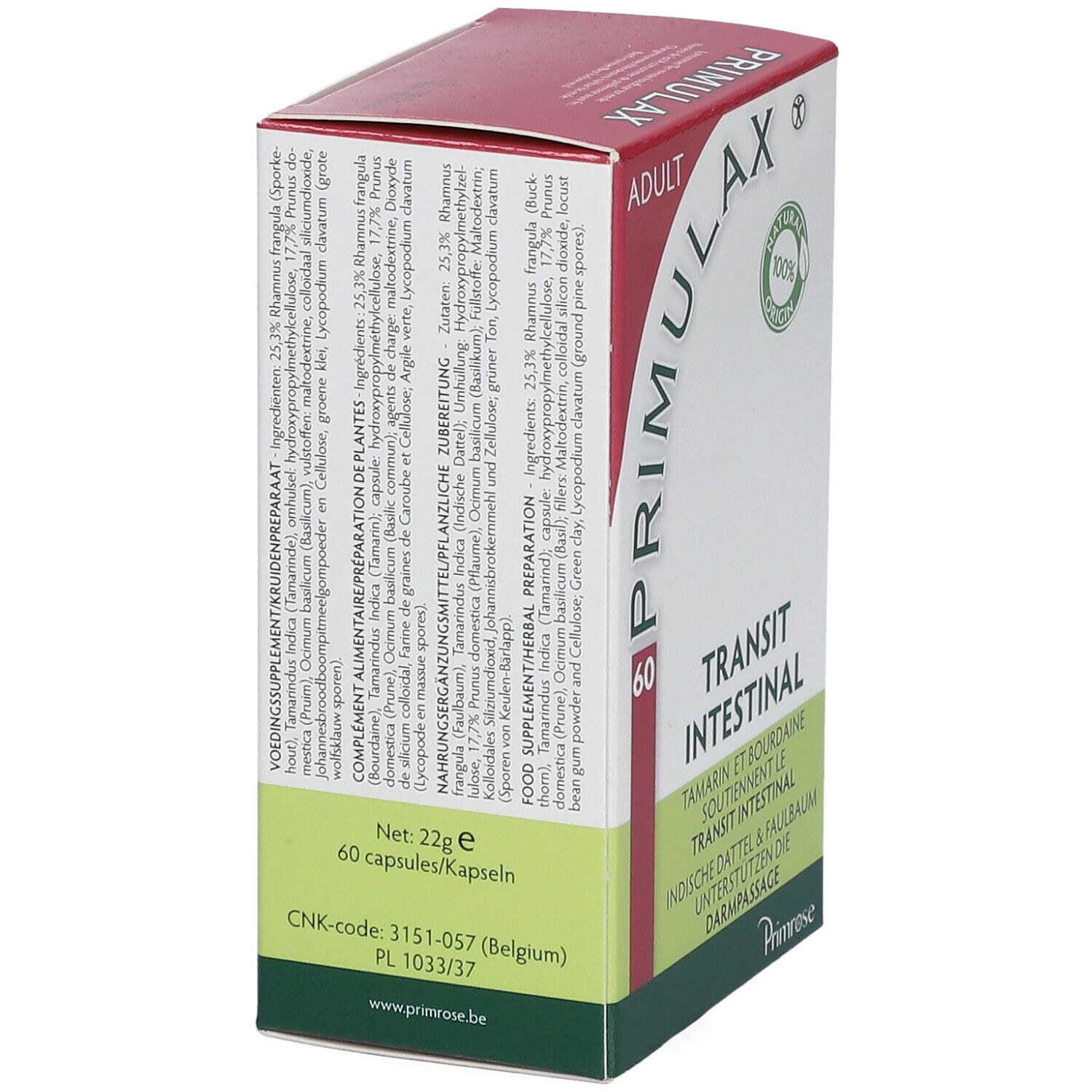 Primrose Primulax Transit intestinal