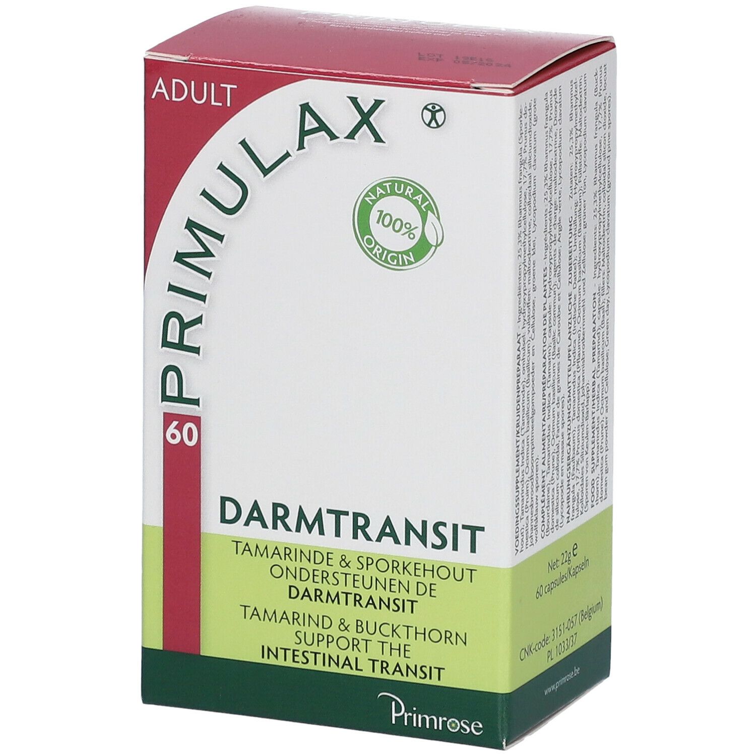 Primrose Primulax Transit intestinal