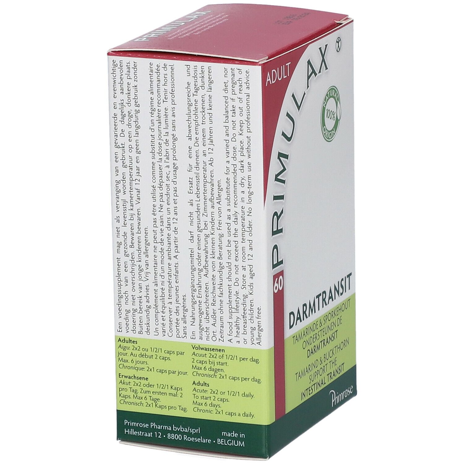 Primrose Primulax Transit intestinal