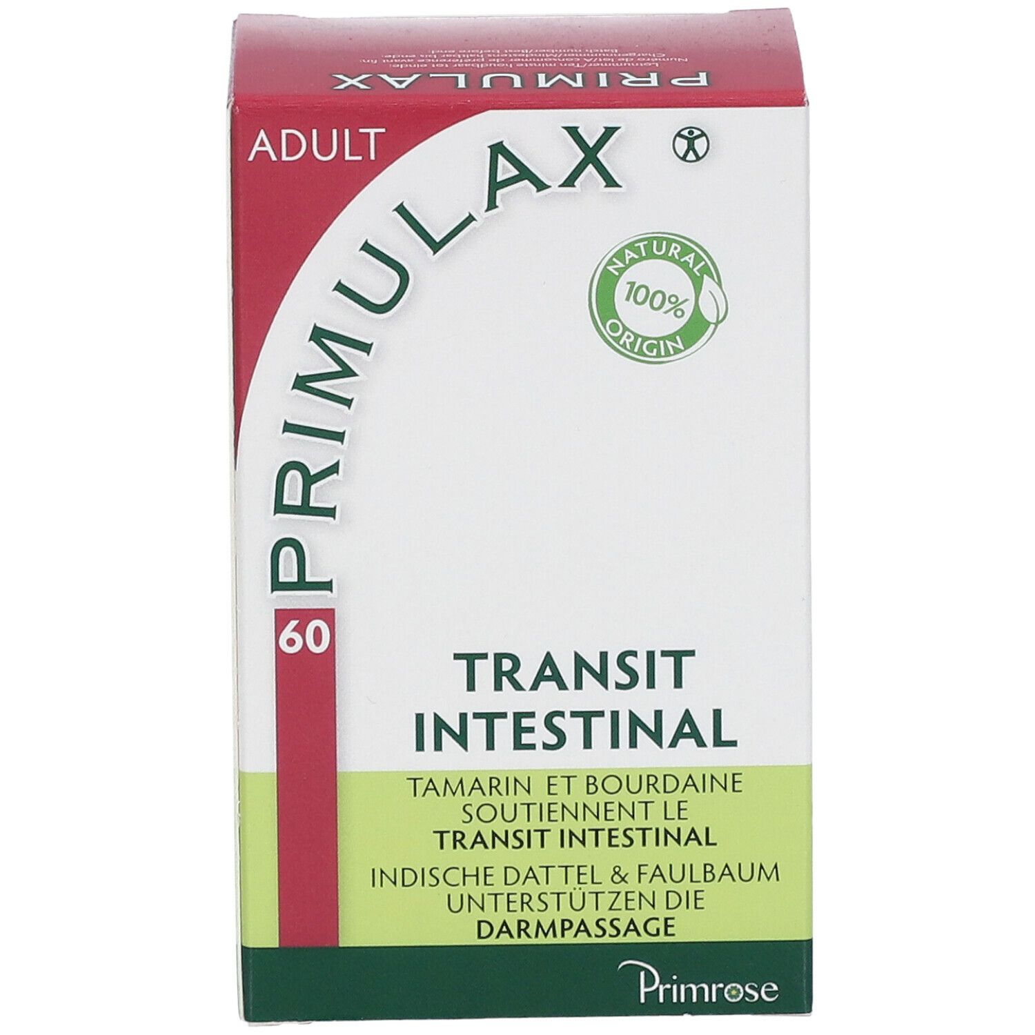 Primrose Primulax Transit intestinal