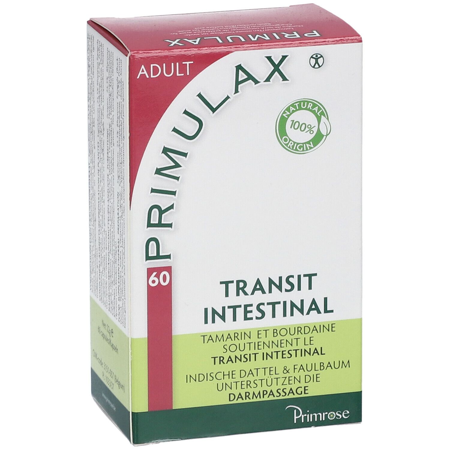 Primrose Primulax Transit intestinal