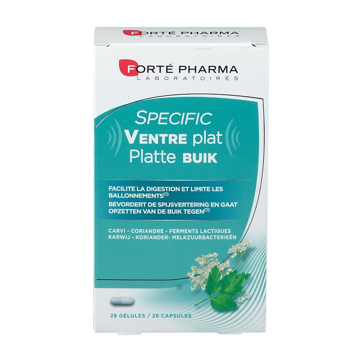 Forté Pharma Specific Ventre Plat