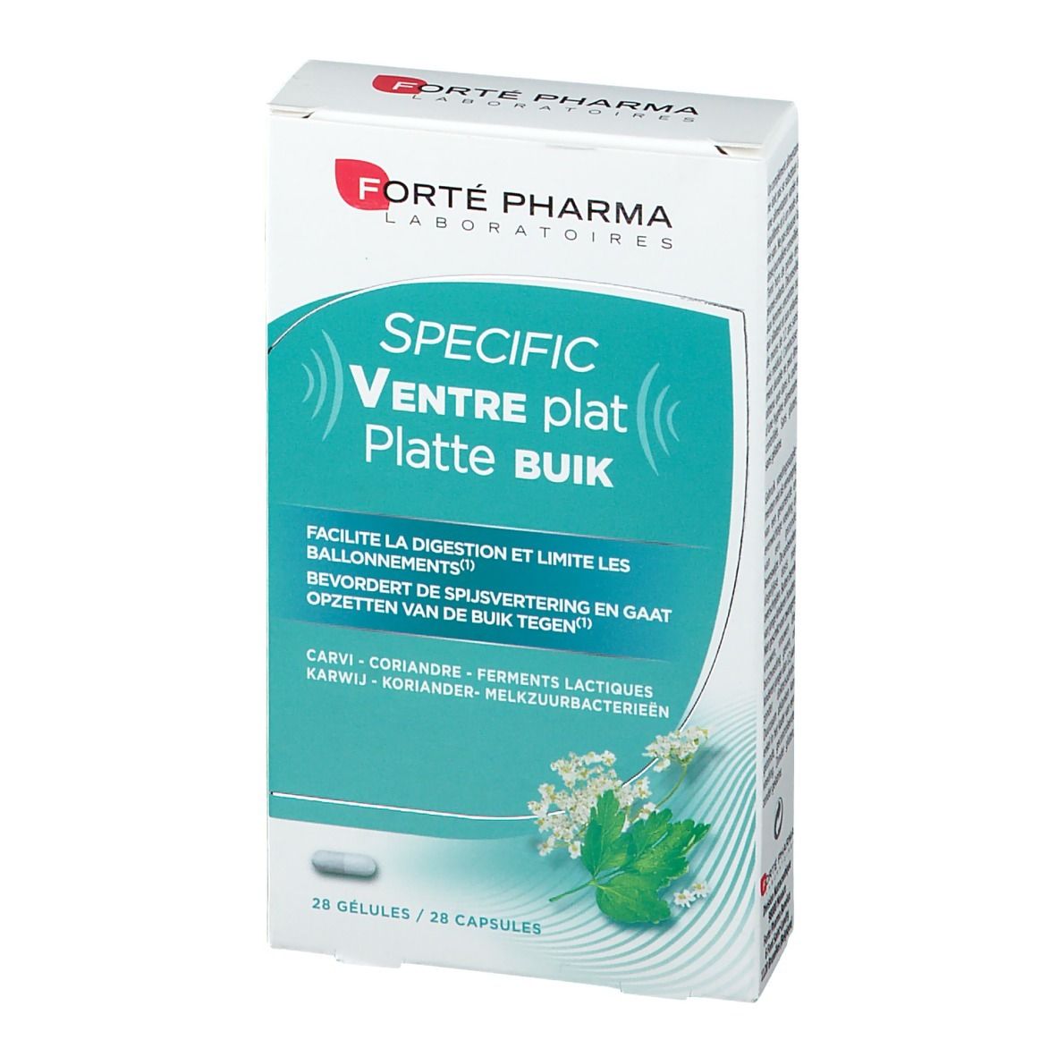 Forté Pharma Specific Ventre Plat