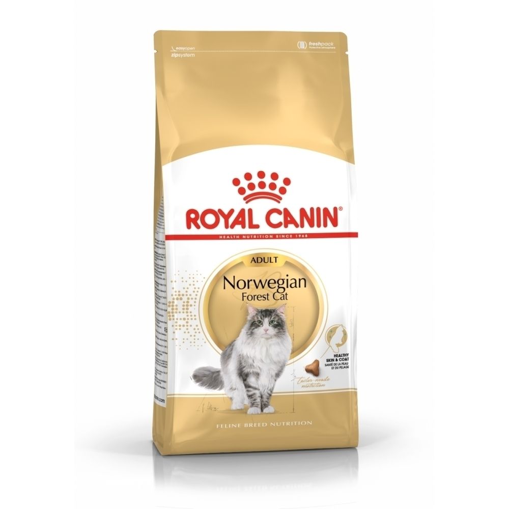 Croquettes Royal Canin pour chats adultes de race Norvégienne.