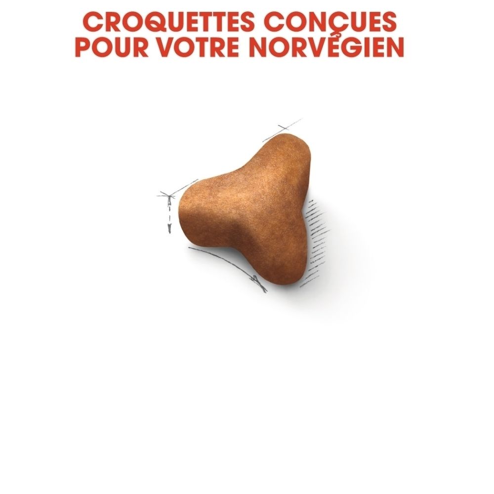 Une croquette brune unique, de forme triangulaire aux coins arrondis.