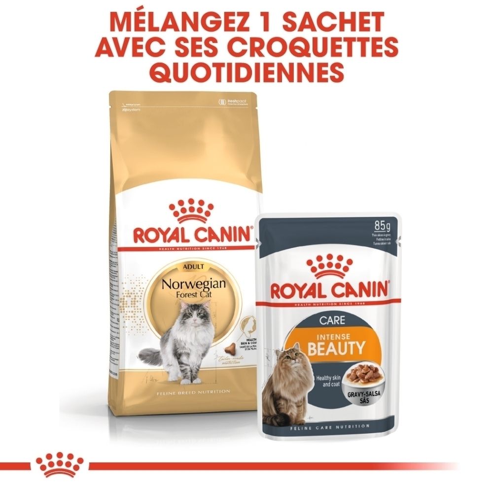 Nourriture pour chat Royal Canin : sac pour Norwegian Forest Cat et sachet pour Intense Beauty.