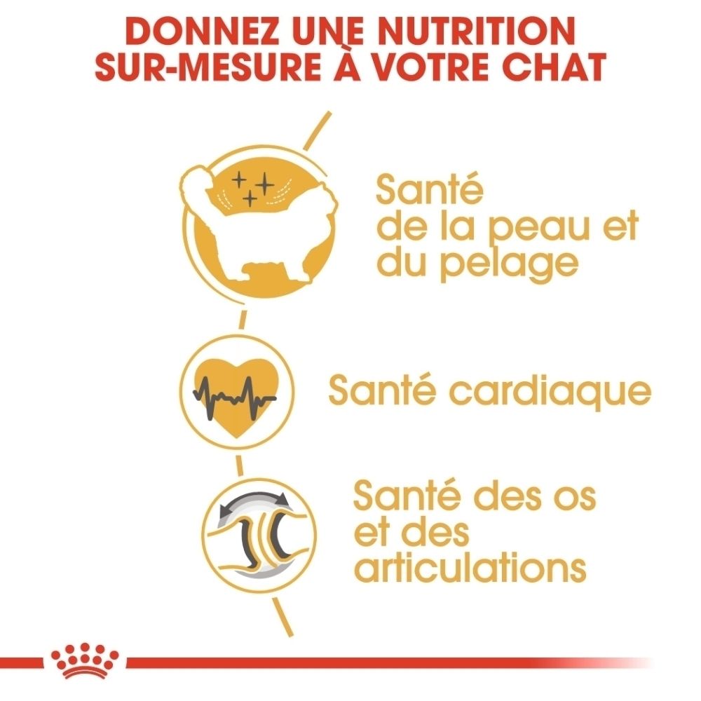 Graphique avec icônes pour la santé du chat : peau, cœur, articulations. Texte : "Nutrition sur mesure pour votre chat".