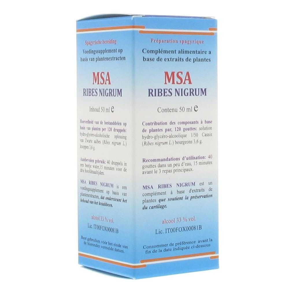 Herboplanet MSA Ribes Nigrum