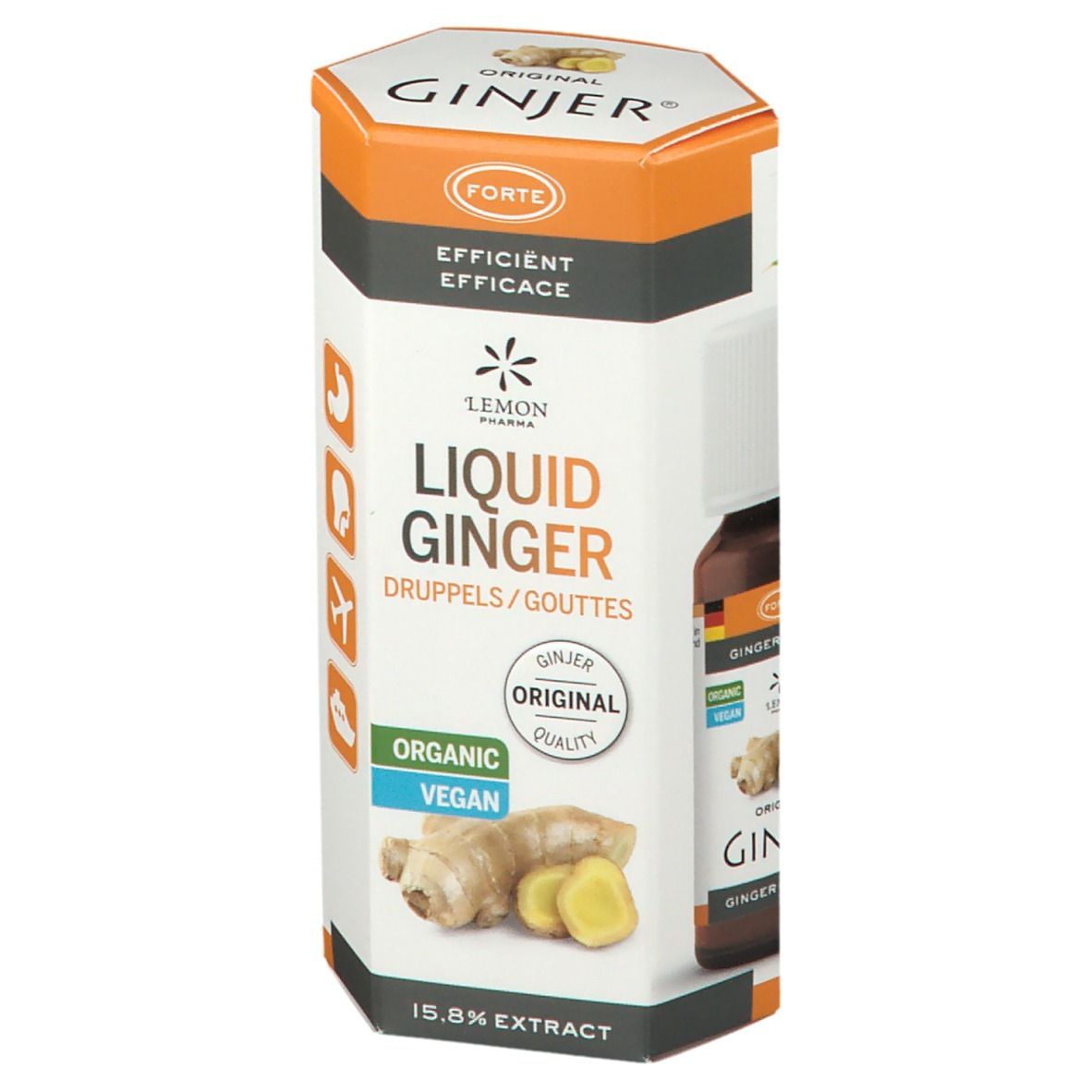 Emballage cylindrique Ginjer Original Forte Gouttes. Inscription: Liquid Ginger, Organic, Vegan. Illustration de gingembre. 15,8% extrait.