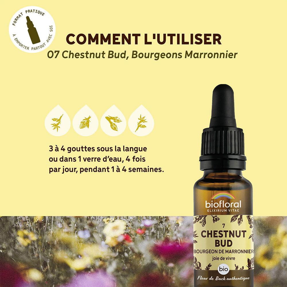 BIOFLORAL 07 - Chestnut Bud - Bourgeons marronnier - 20 ml