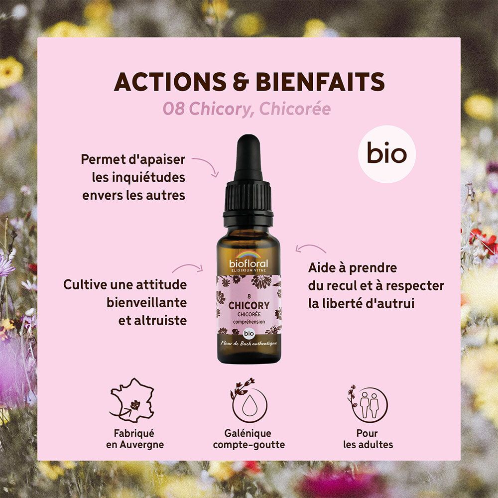 BIOFLORAL 08 - Chicory - Chicorée - 20 ml