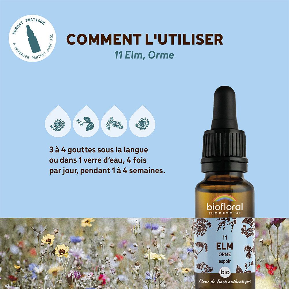 Graphique avec flacon de produit. Texte : Comment l'utiliser, 11 Elm, Orme. 3-4 gouttes sous la langue. BIOFLORAL.