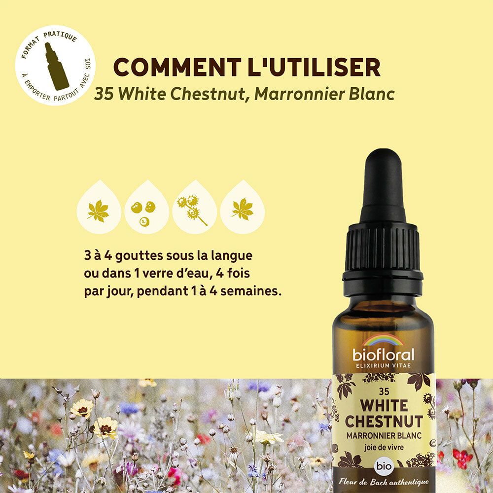 BIOFLORAL 35 - White chesnut - Marronnier blanc - 20 ml