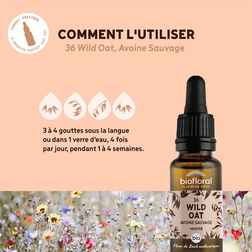 BIOFLORAL 36 - Wild oat - Avoine sauvage - 20 ml