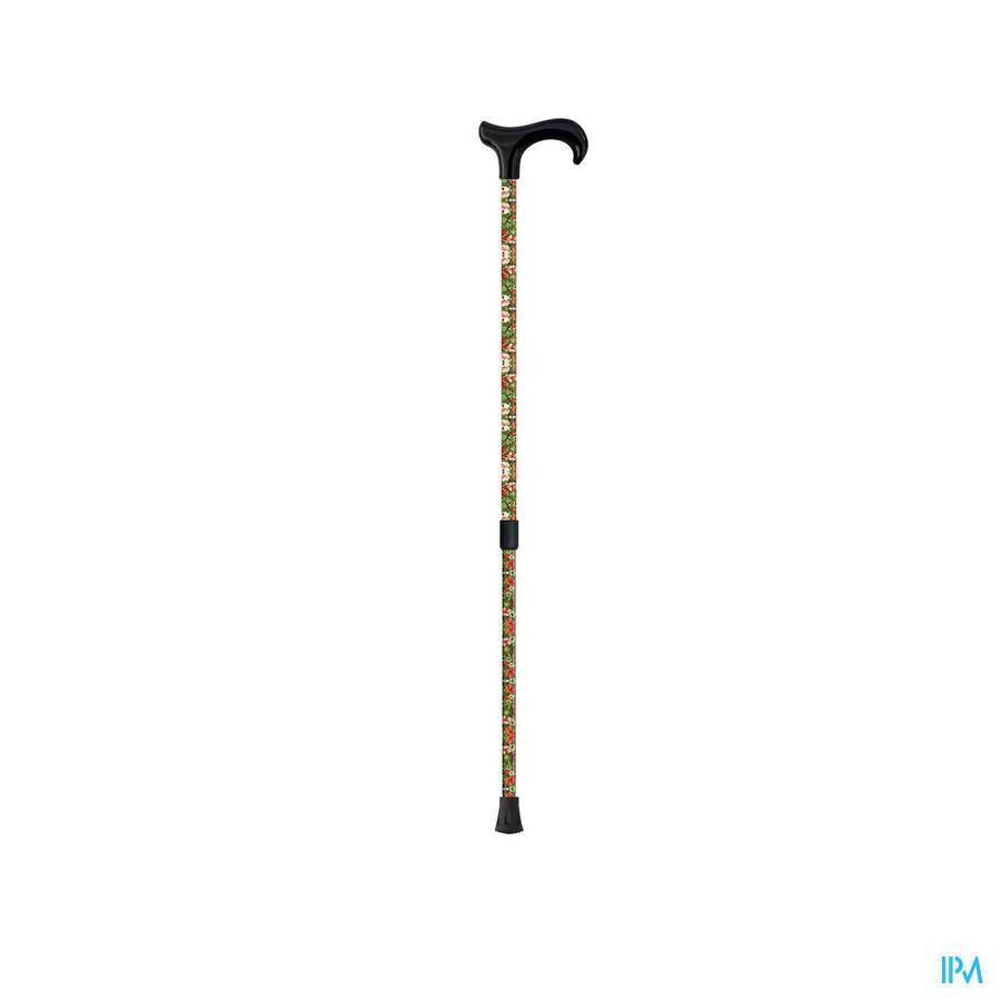 Wandelstok Derby Bloemen MQ529