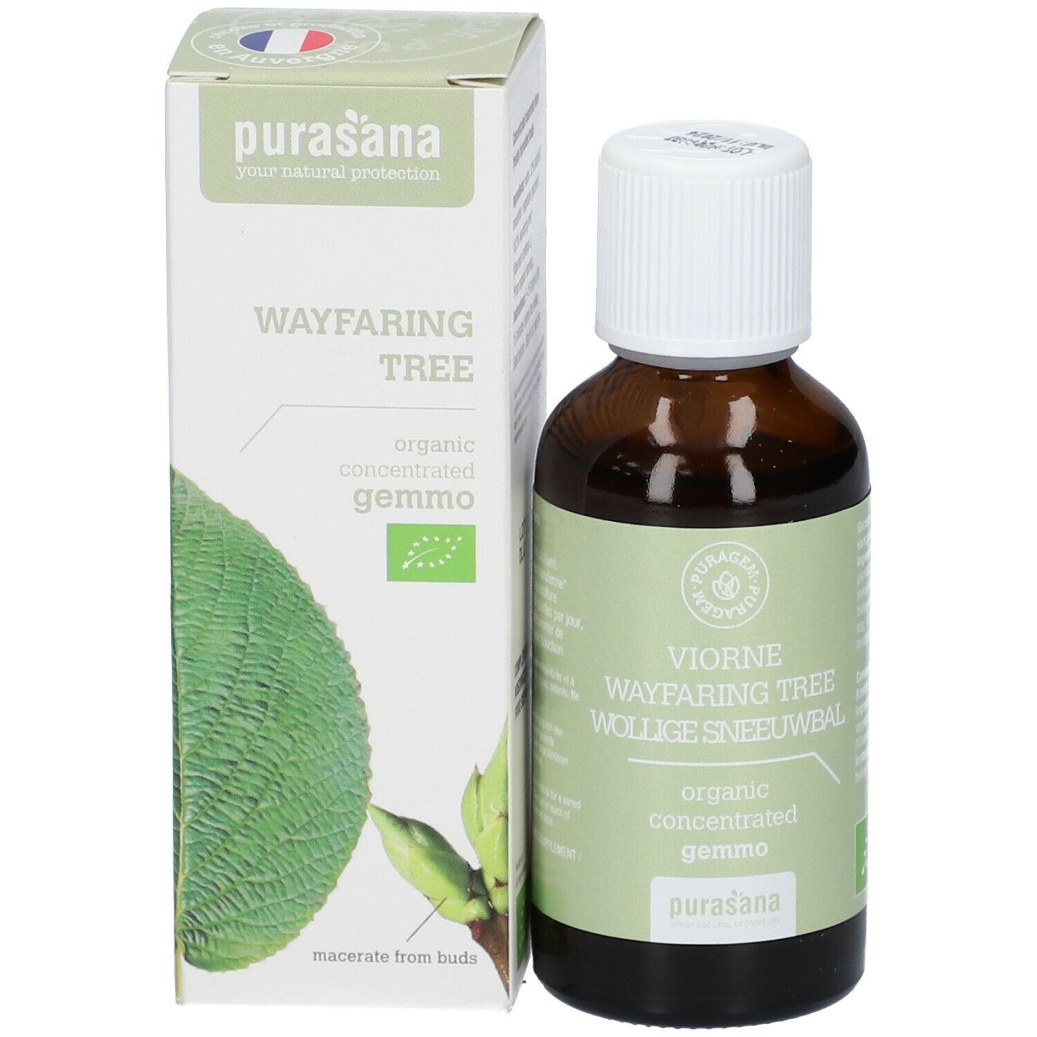 Purasana Puragem Viorne