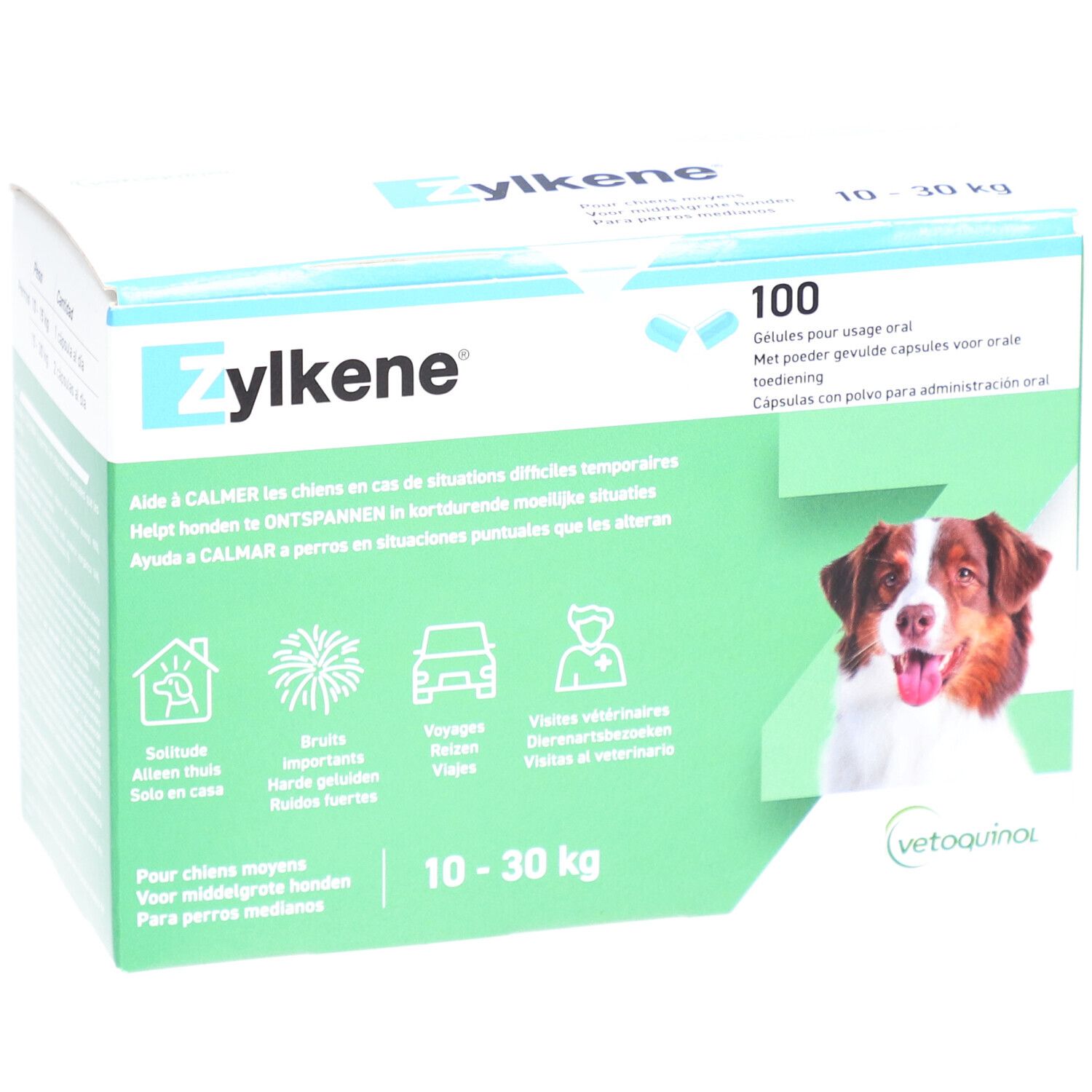 ZYLKENE 225 mg