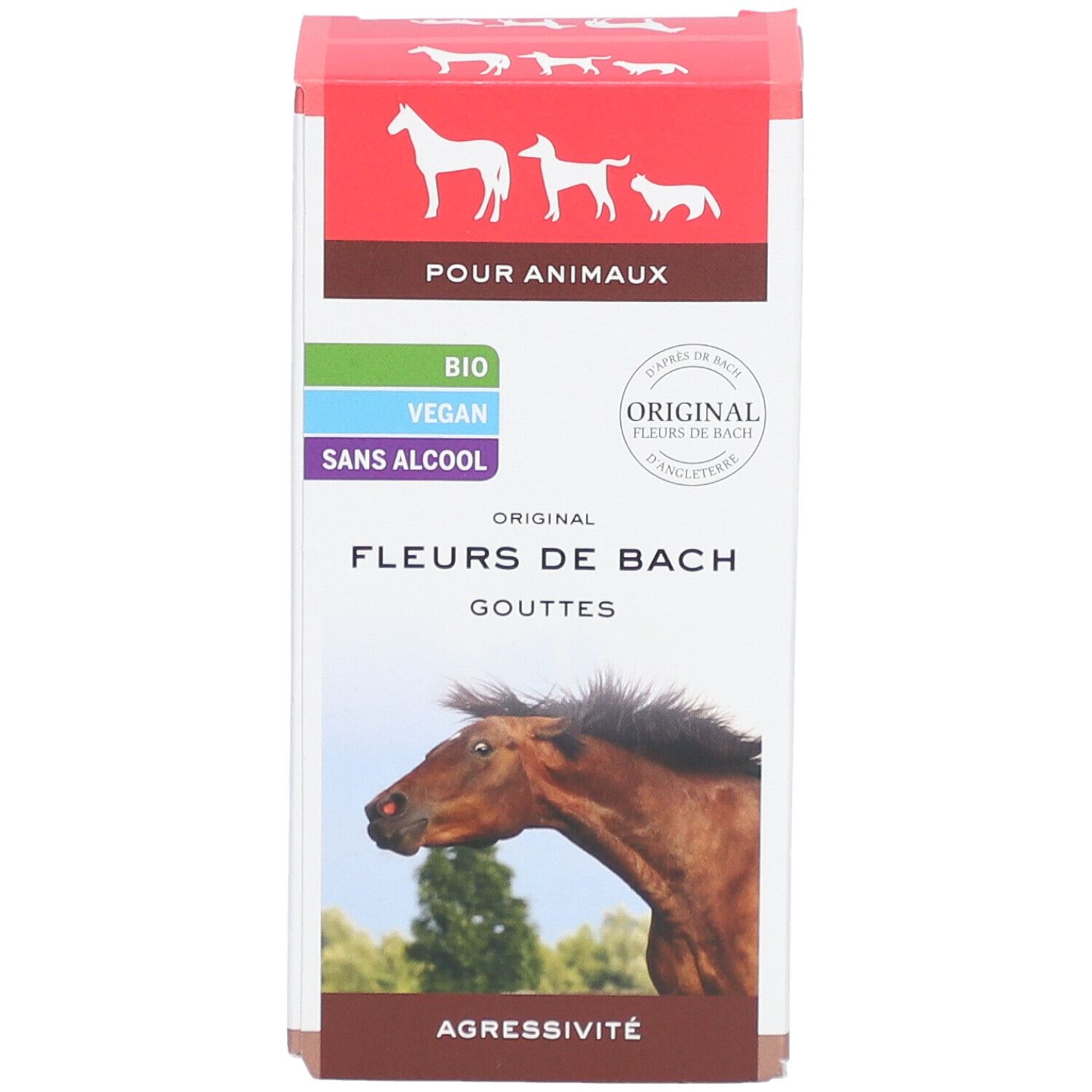 Boîte Fleurs de Bach pour animaux. Gouttes, contre agressivité. Illustration de cheval.