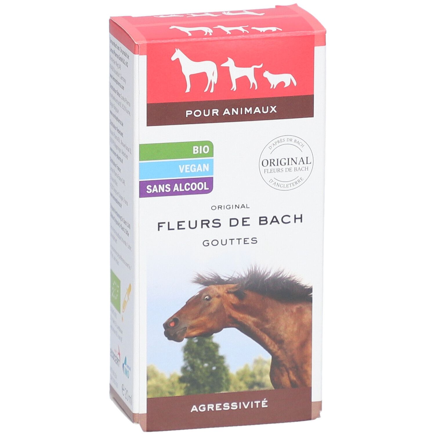 Boîte Fleurs de Bach pour animaux. Gouttes, contre agressivité. Illustration de cheval.