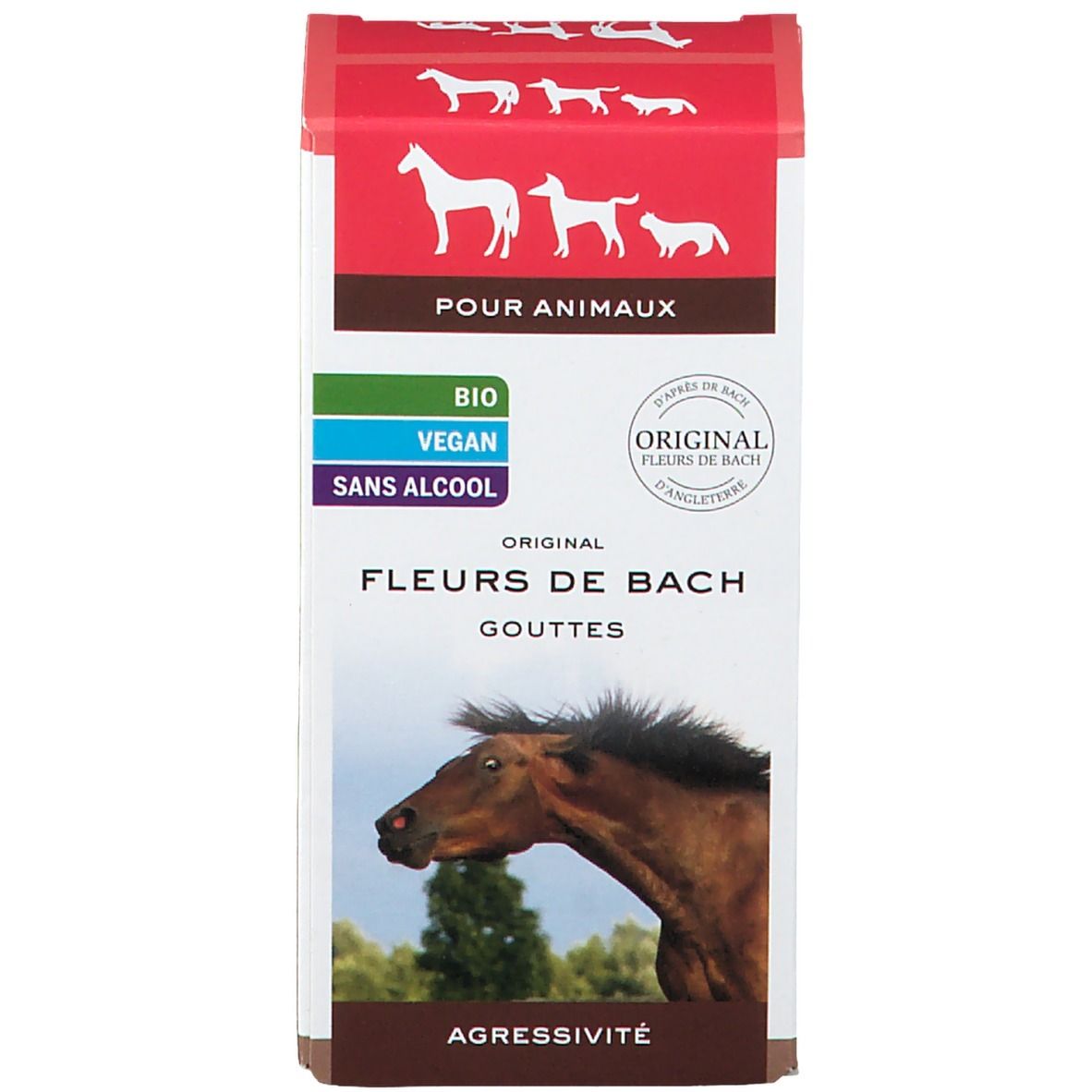 Boîte Fleurs de Bach pour animaux. Gouttes, contre agressivité. Illustration de cheval.