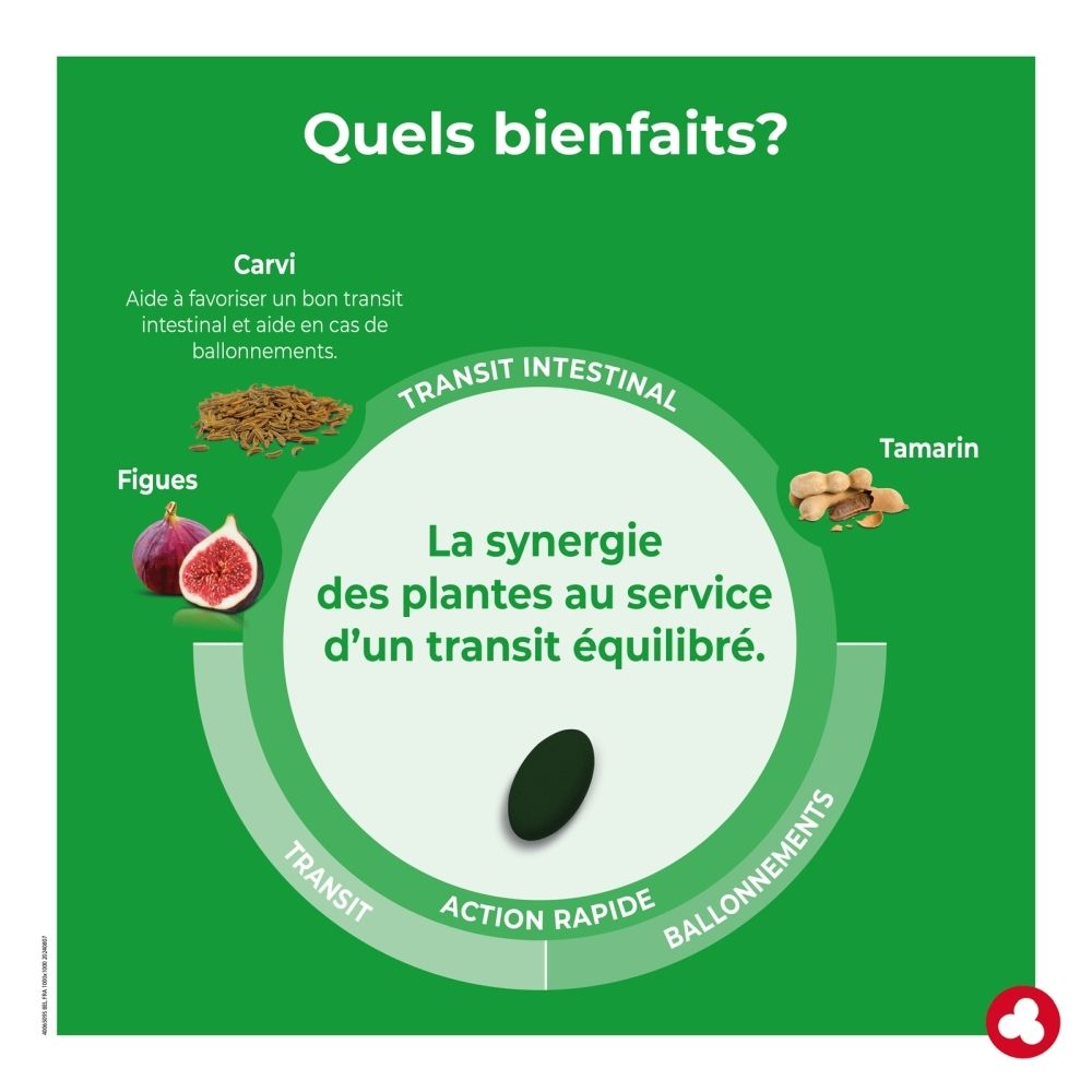 Face avant de la boîte Ortis Fruits & Fibres Forte Transit Intestinal avec image de rhubarbe et figues.