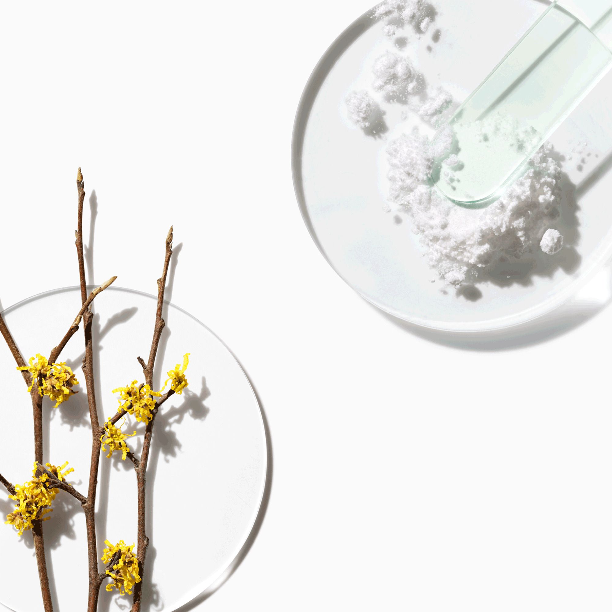 Ingrédients principaux : Acide salicylique, Hamamélis et Acétyl-Glucosamine.