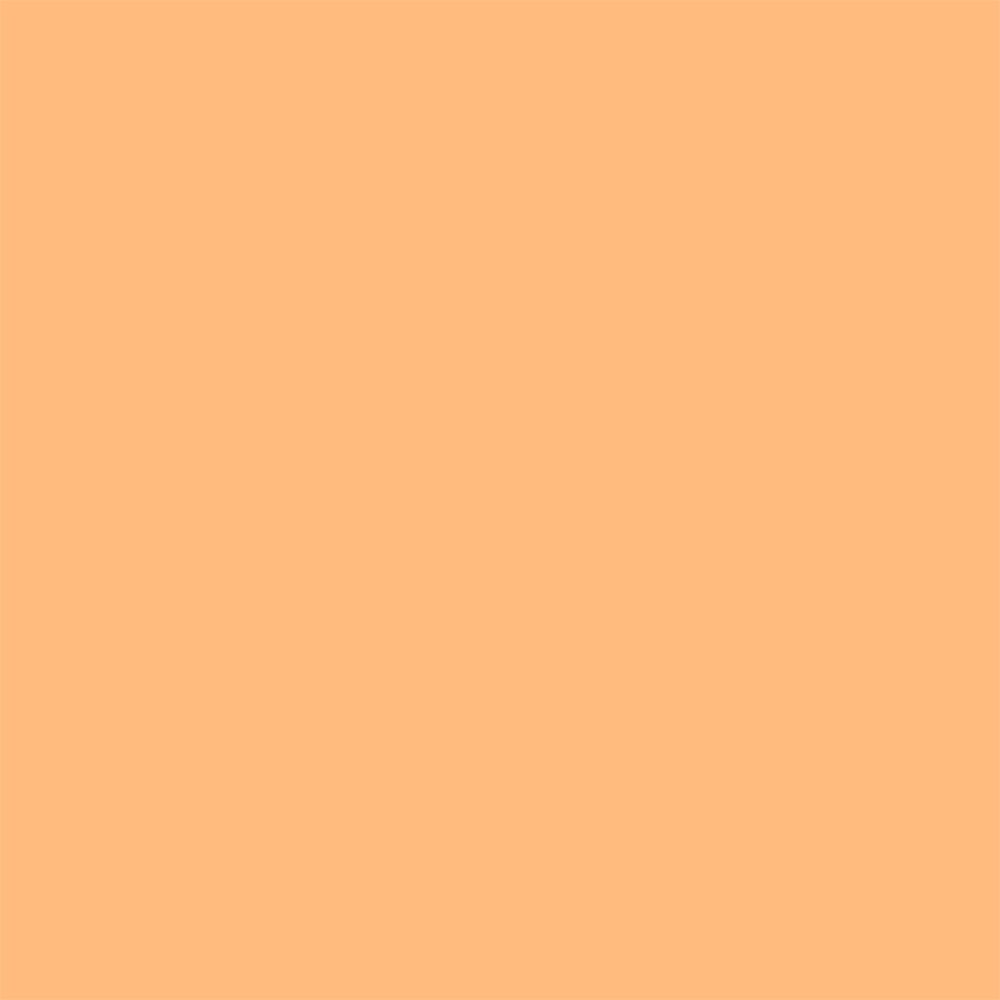 Fond orange clair uni.