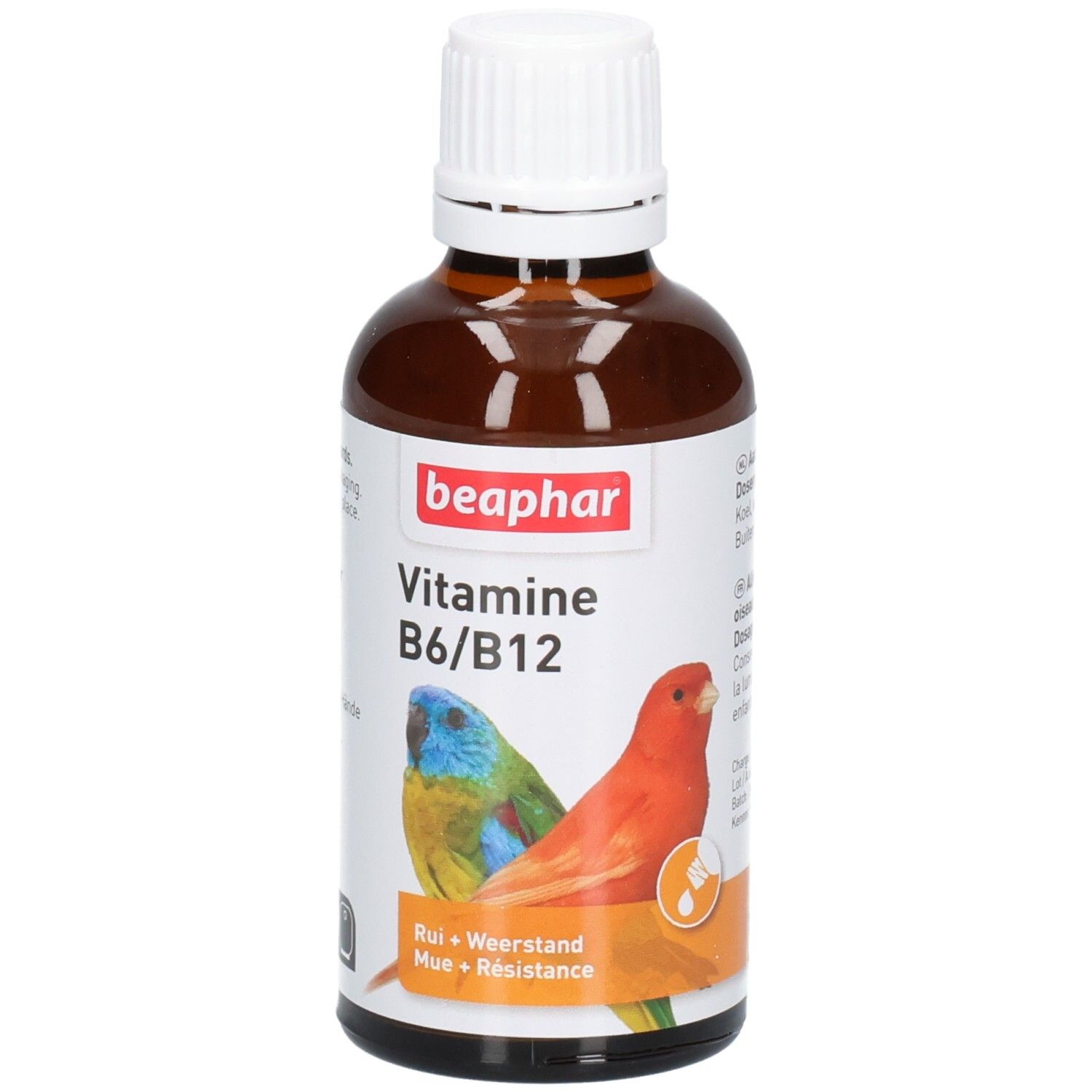 Flacon en verre brun avec bouchon blanc. Étiquette "beaphar Vitamine B6/B12" et illustration de perroquets. "Rui + Weerstand + Résistance".