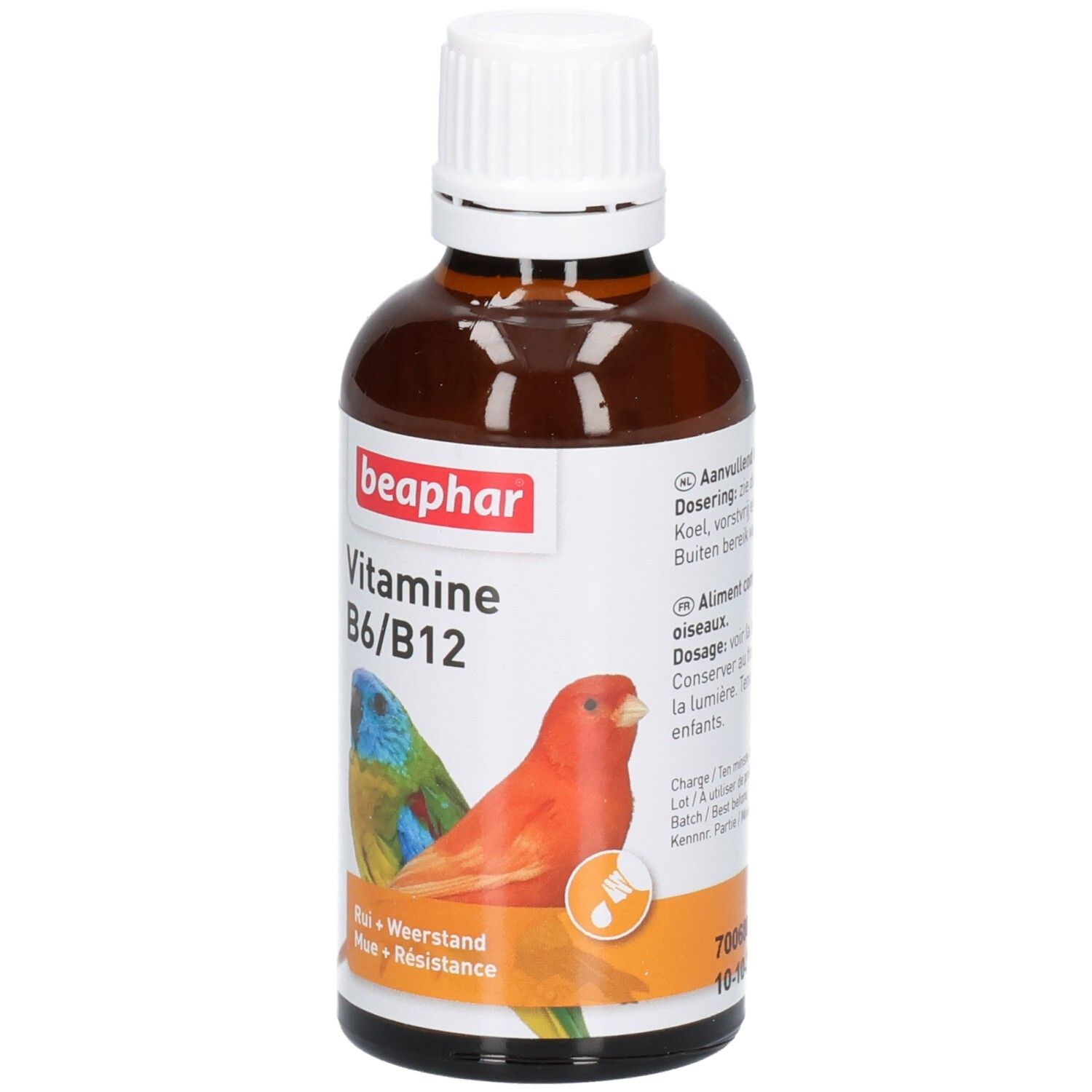 Flacon en verre brun avec bouchon blanc. Étiquette "beaphar Vitamine B6/B12" et illustration de perroquets. "Rui + Weerstand + Résistance".