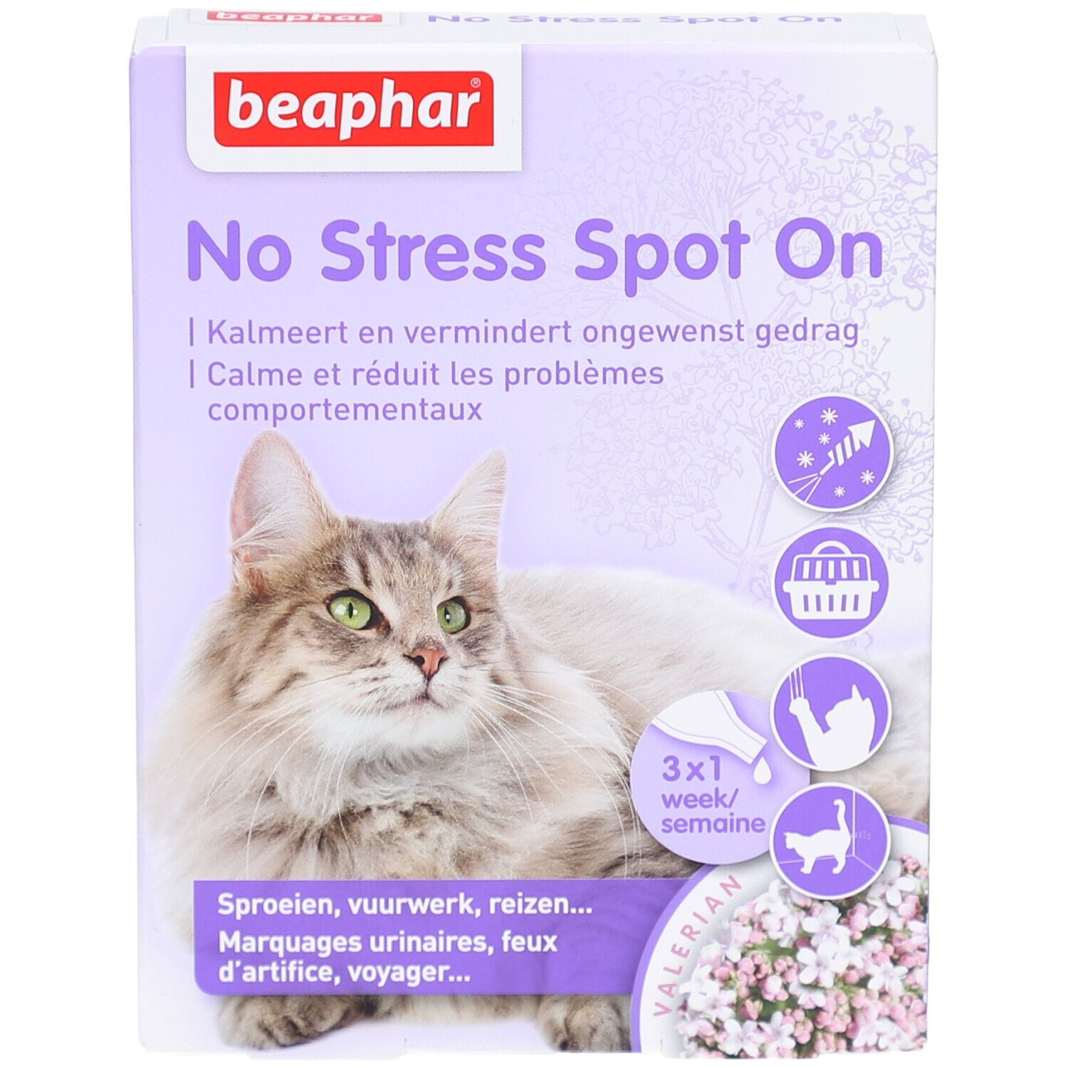 Boîte Beaphar® No Stress Spot On Chat. Emballage violet et blanc avec chat, nom du produit et illustrations.