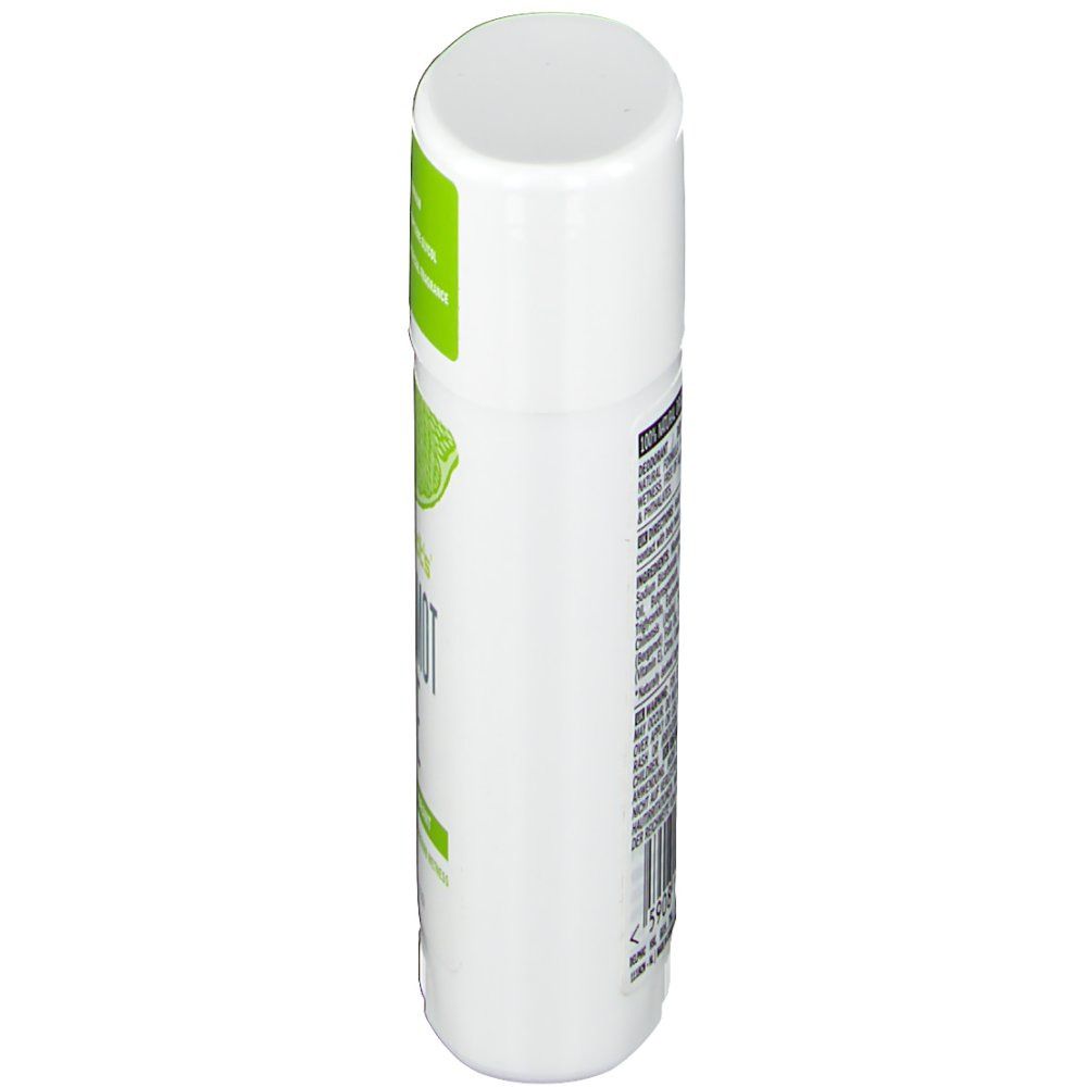 Schmidt's® Deodorant Stick Bergamot - Lime