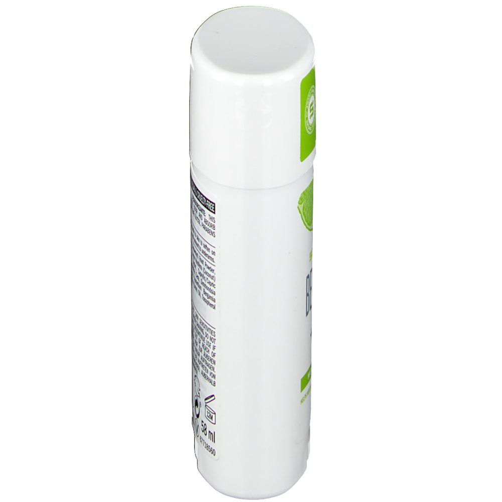 Schmidt's® Deodorant Stick Bergamot - Lime