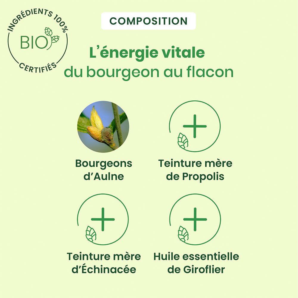 HerbalGem PROPOLIS LARGE SPECTRE - gommes