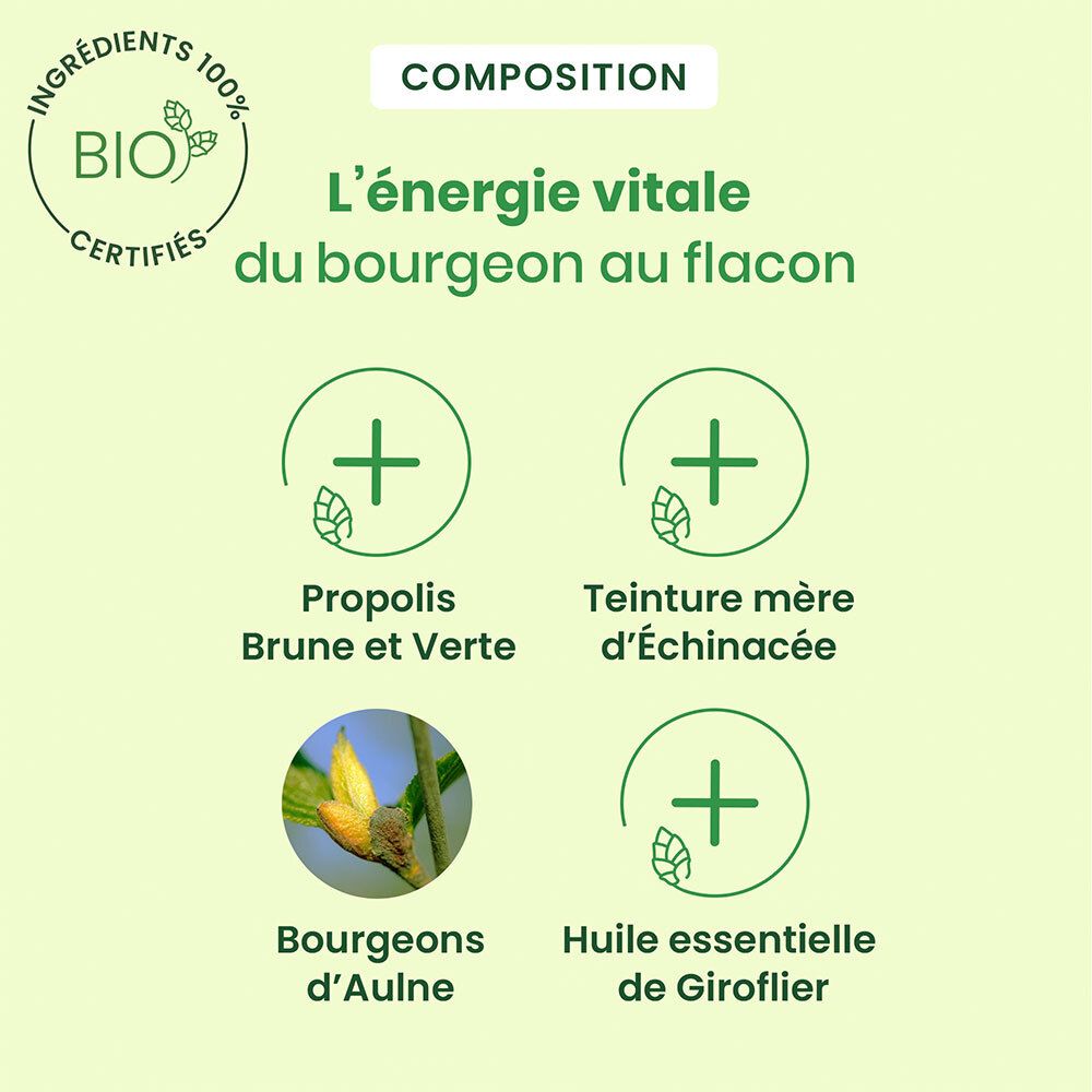 HerbalGem PROPOLIS LARGE SPECTRE - gouttes