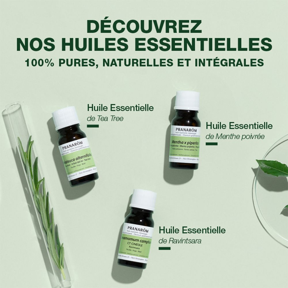 Trois petits flacons d'huiles essentielles. Marque Pranarôm. Produits : Tea Tree, Menthe poivrée, Ravintsara.