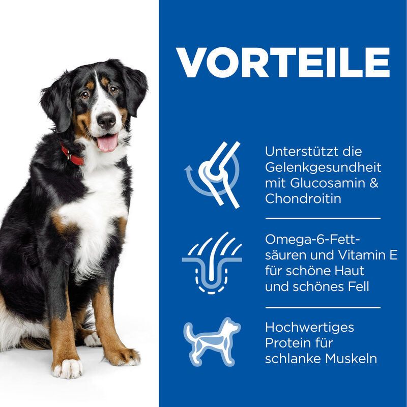 Hill's Science Plan Canine Adulte Fitness Avancé Grand Chien avec Poulet
