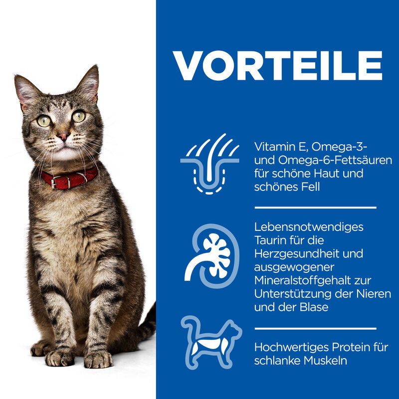 HILL'S SCIENCE PLAN Aliment pour Chat Adulte à l'Agneau