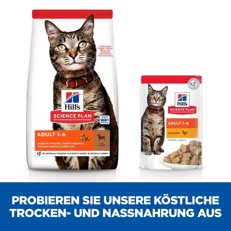 HILL'S SCIENCE PLAN Aliment pour Chat Adulte à l'Agneau