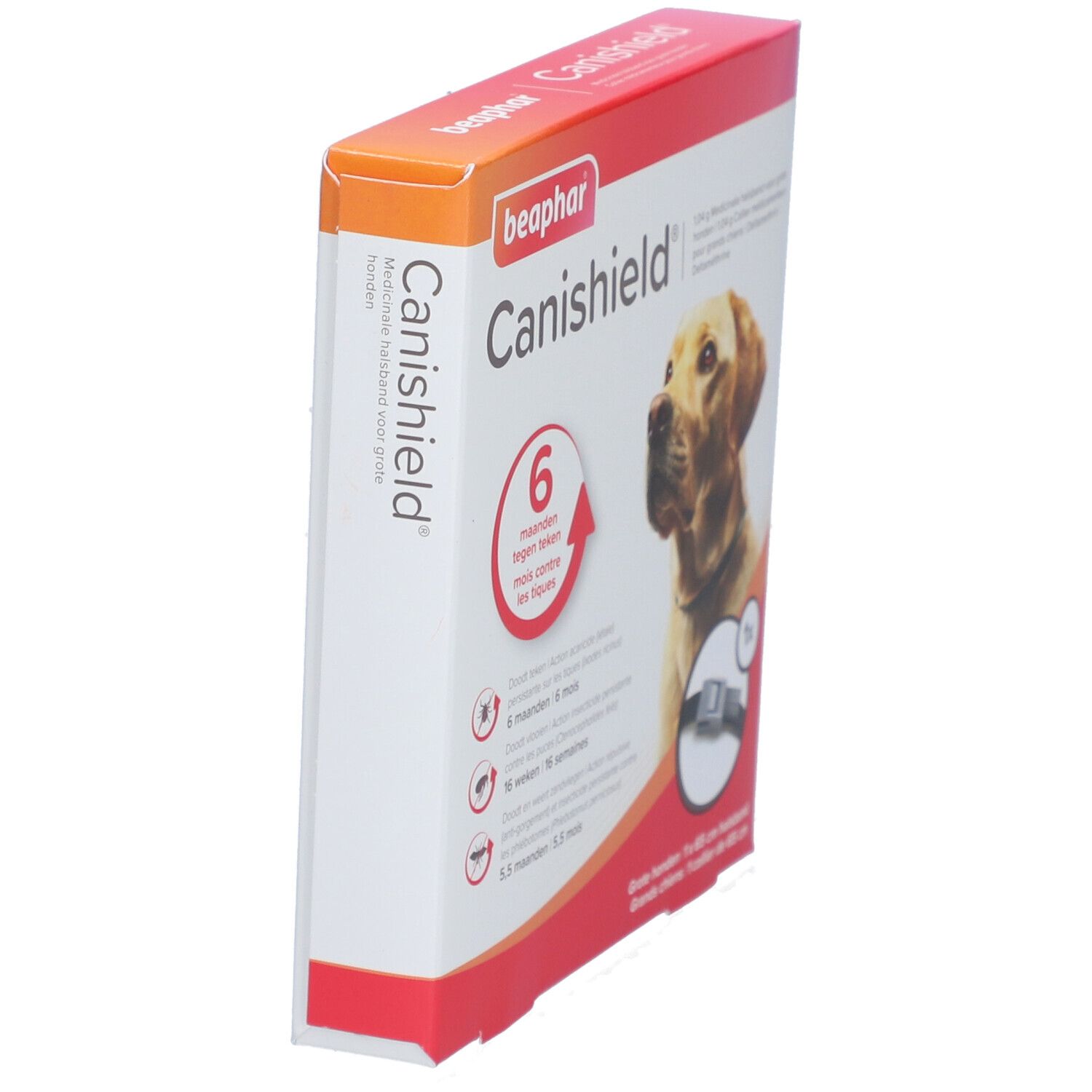 Beaphar Canishield Collier 1,04 g Grand Chien 65 cm