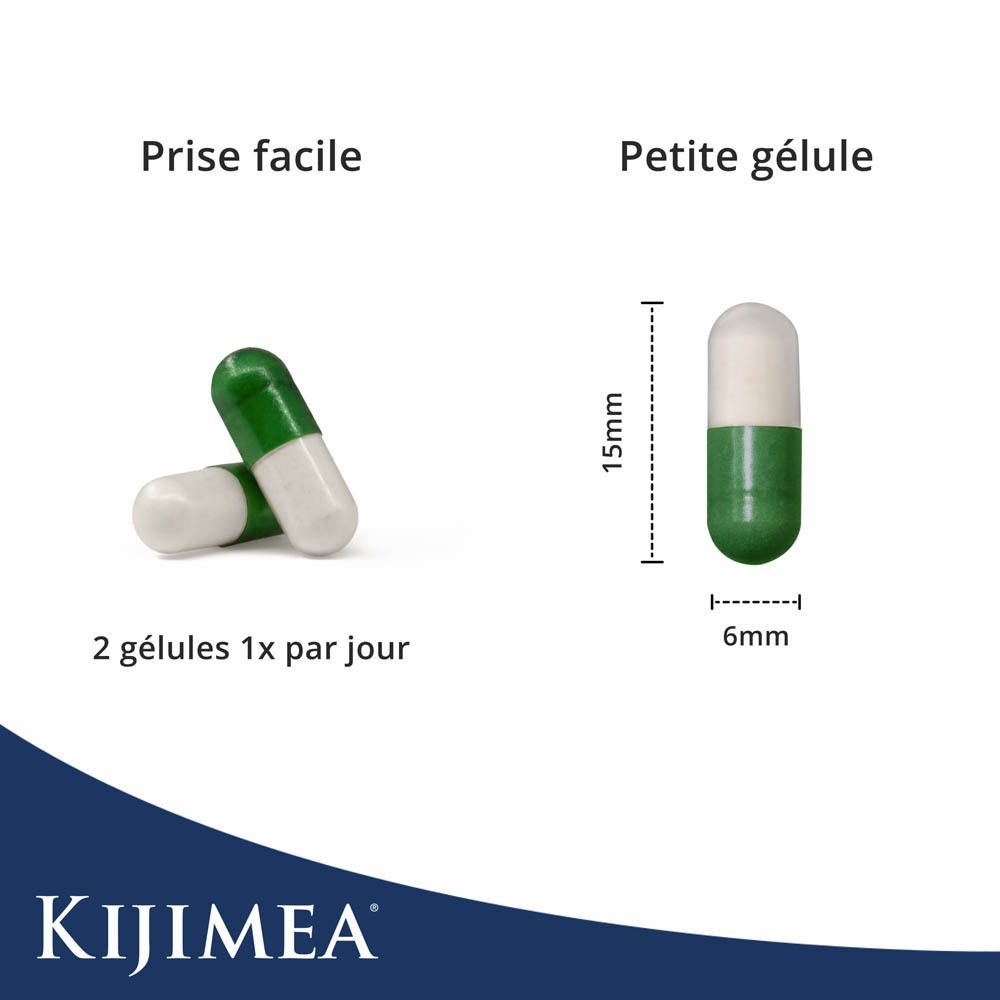 Deux gélules, vert et blanc. Dimensions : 15mm x 6mm. Texte : Prise facile, Petite gélule. Logo Kijimea.