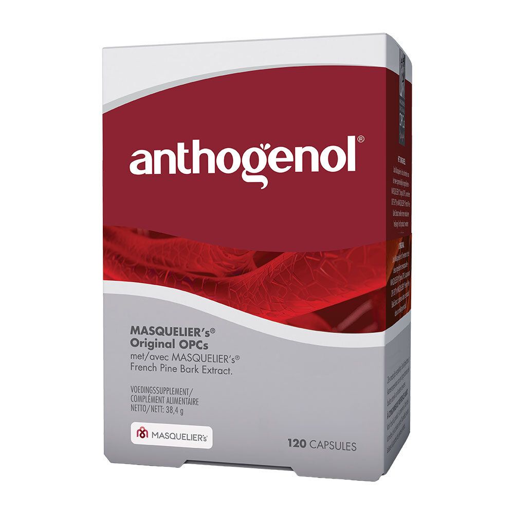 Emballage Anthogenol MASQUELIER's Original OPCs, face avant avec inscription néerlandaise.