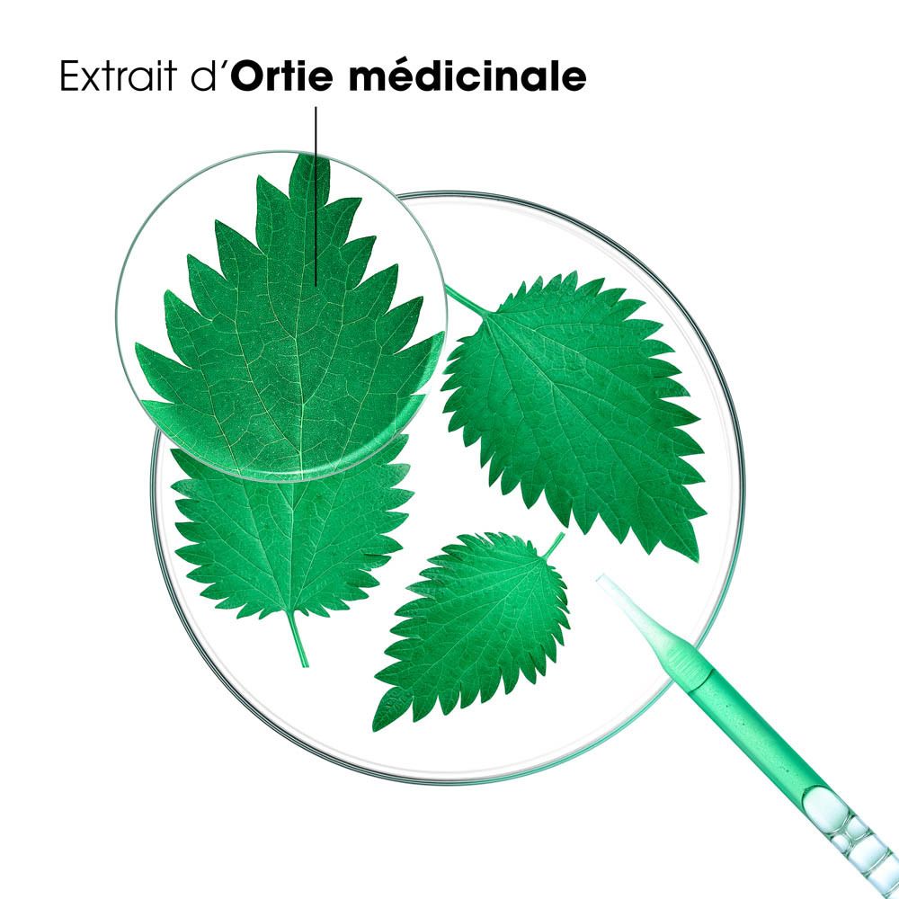 Gros plan sur des feuilles d'ortie. Texte: Extrait d'Ortie médicinale.