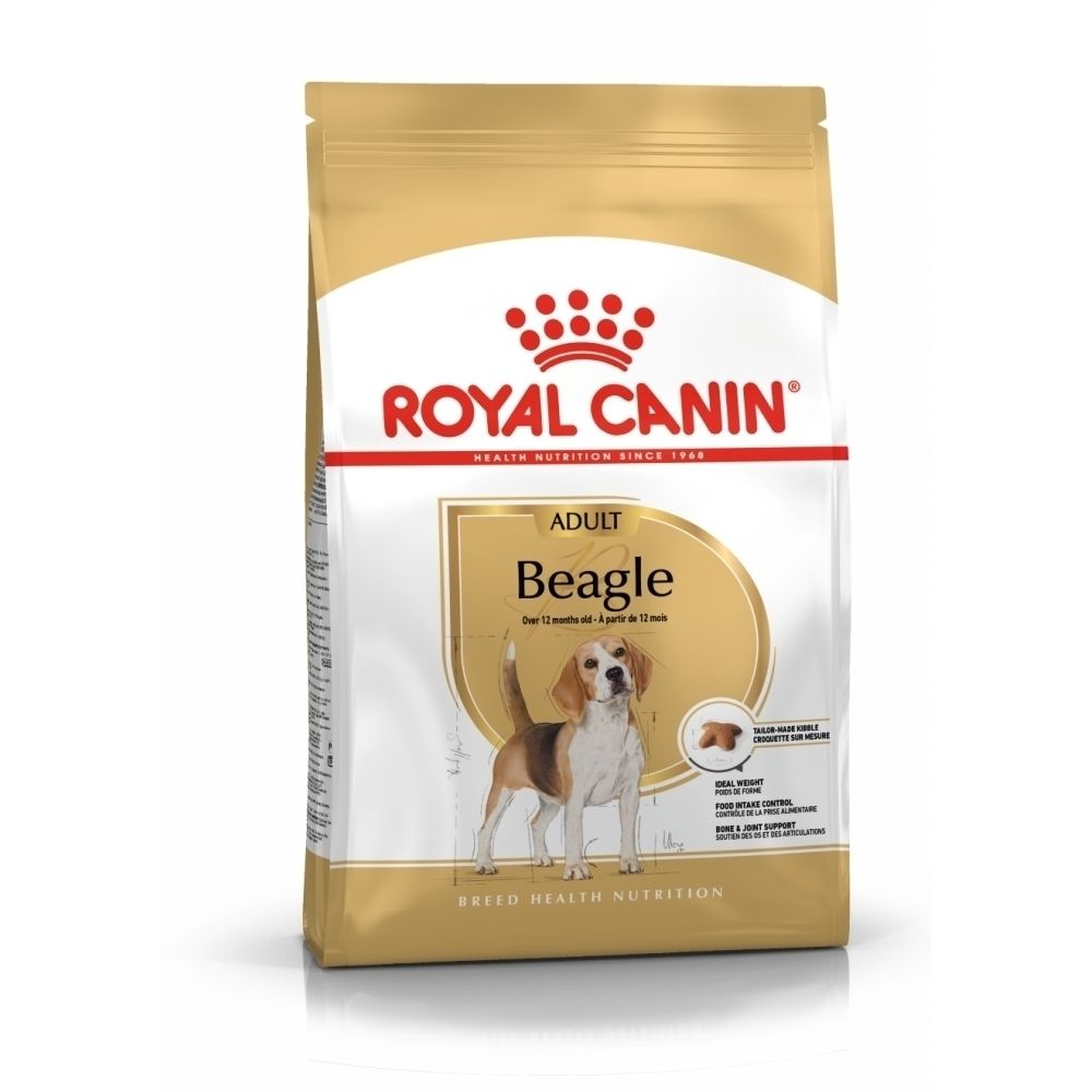 Illustration d'un chien Beagle pour Royal Canin Beagle Adulte.