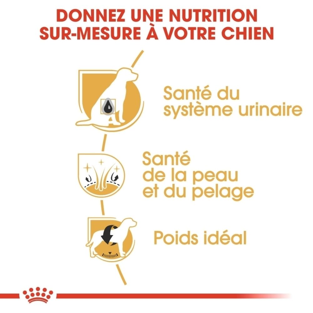 Gros plan d'une croquette de nourriture Royal Canin Bichon Frise, avec un dessin schématique.