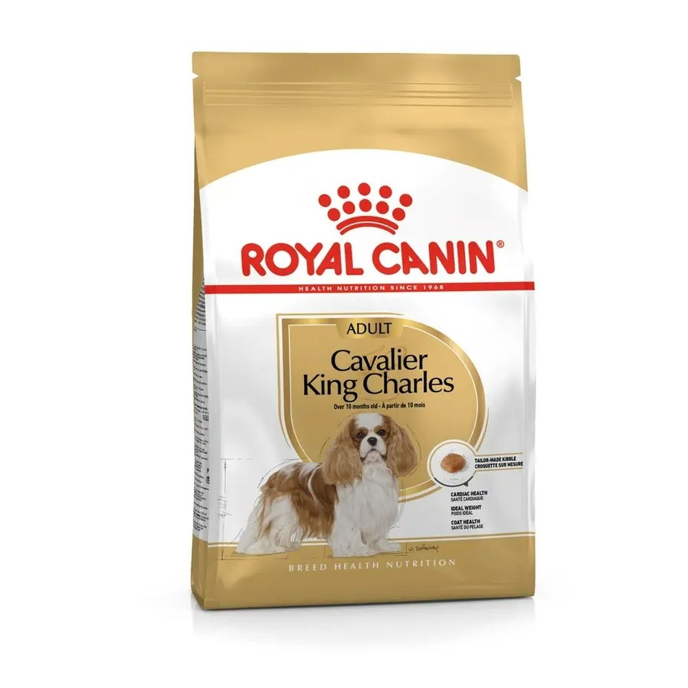Nourriture Royal Canin pour Cavalier King Charles adulte. Emballage doré avec image de chien.