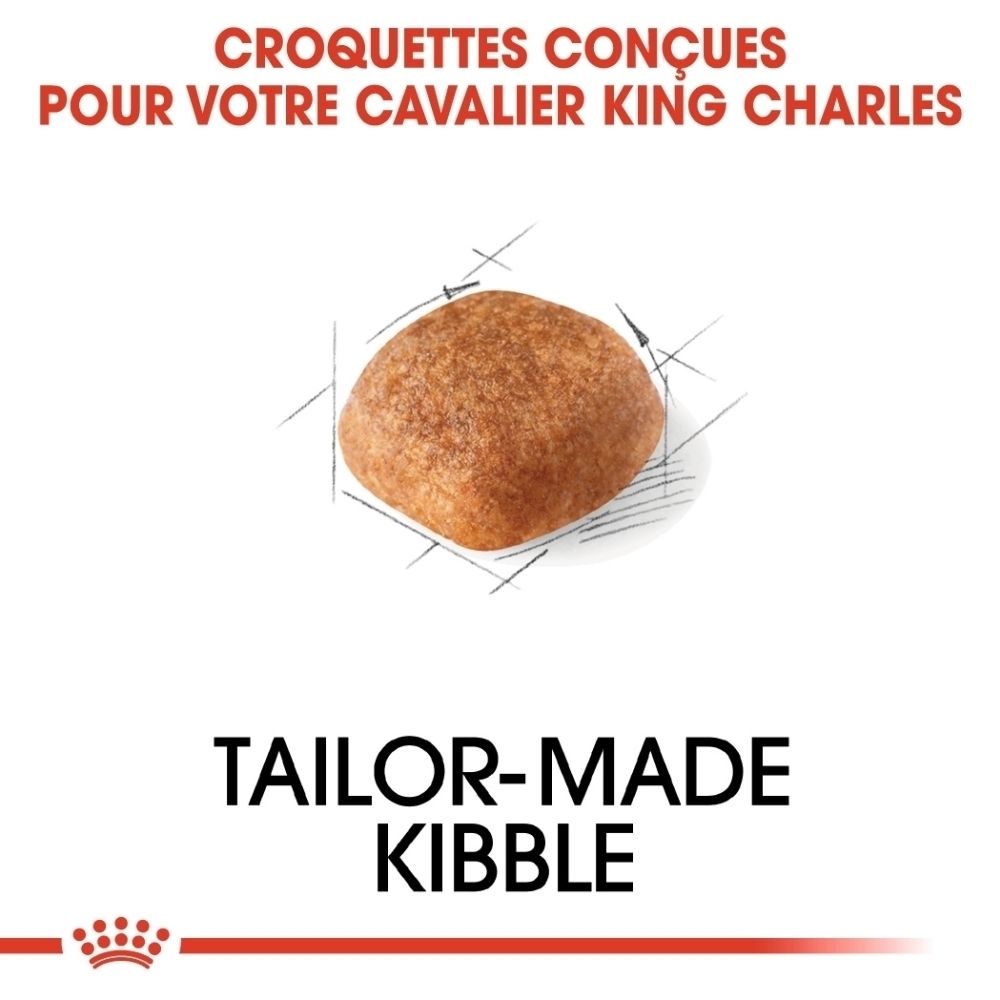 Sac Royal Canin pour Cavalier King Charles : illustration de la race et informations.