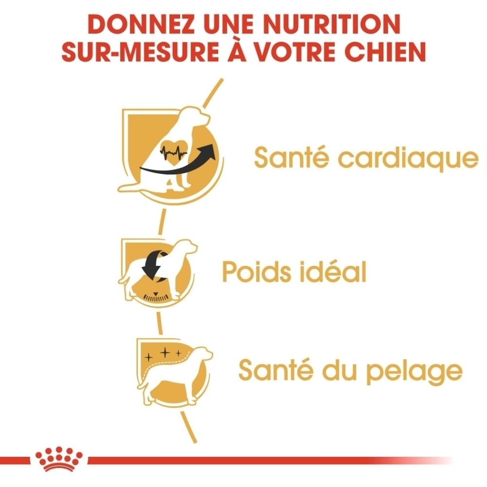 Sac Royal Canin pour Cavalier King Charles : illustration de la race et informations.
